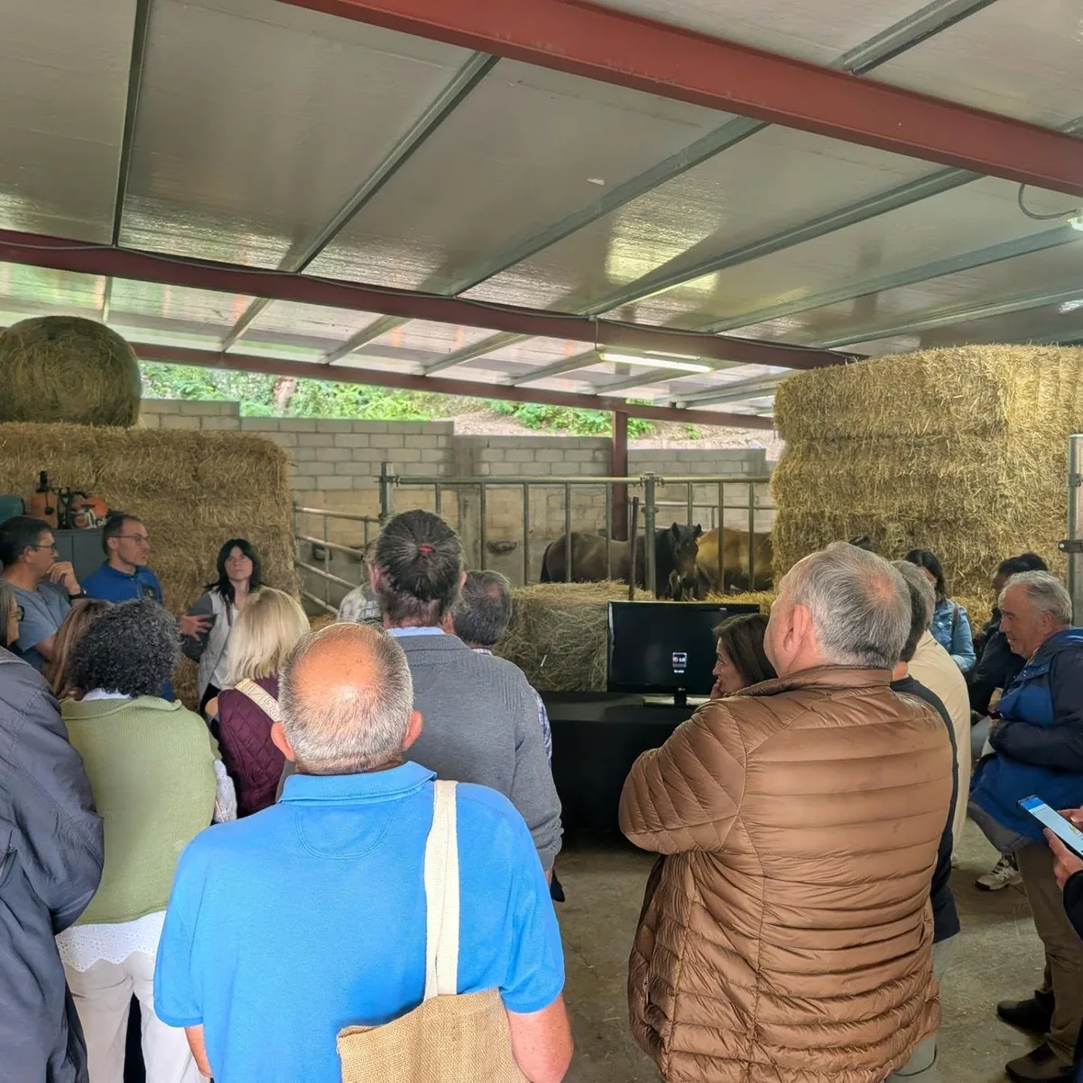 El grupo escucha una explicación en una nave ganadera con balas de paja y caballos