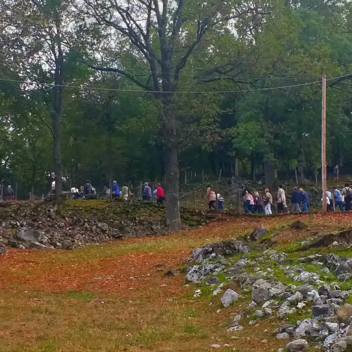 Los participantes recorren a pie un camino entre árboles y praderas de montaña
